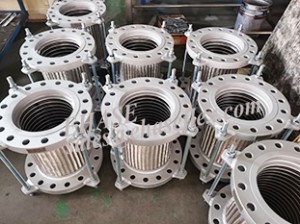 Flange Bellow